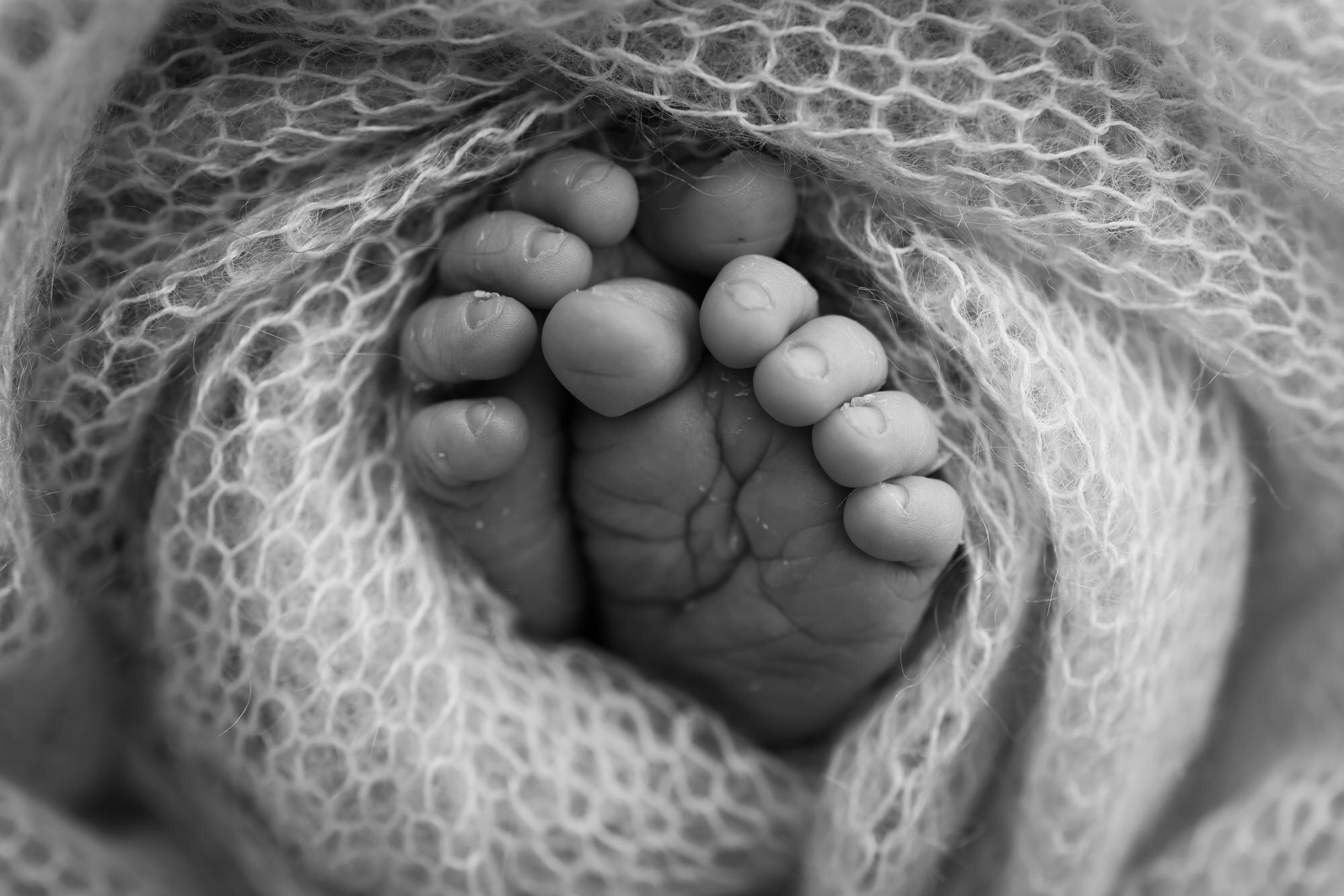 nacido en un viaje por Dolores Aleixandre rscj