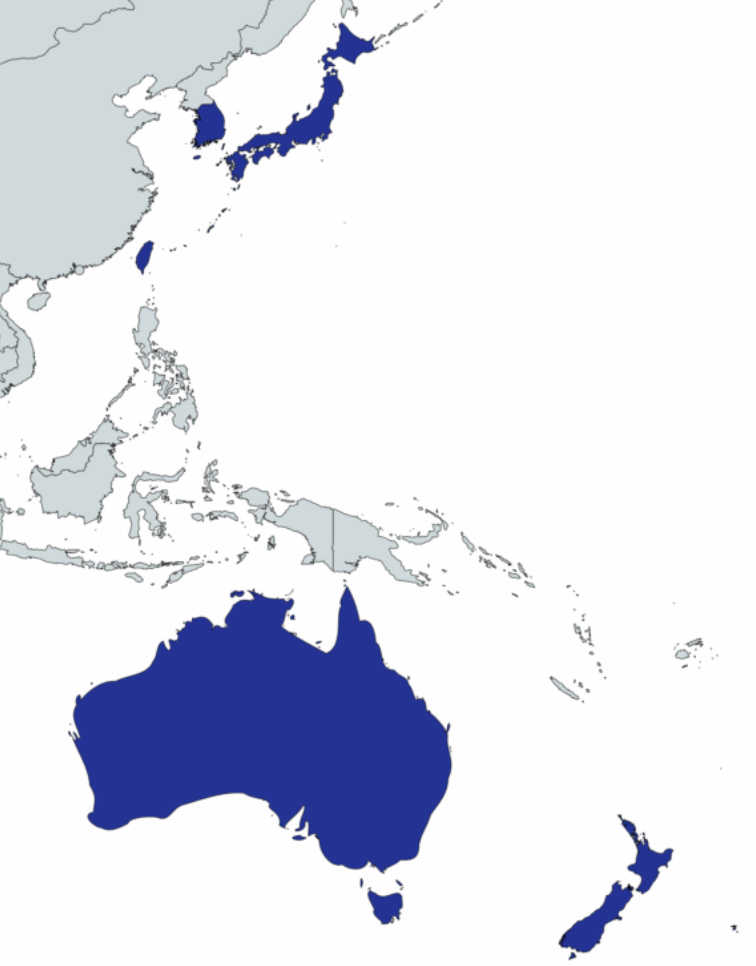 Nueva provincia NEANZ