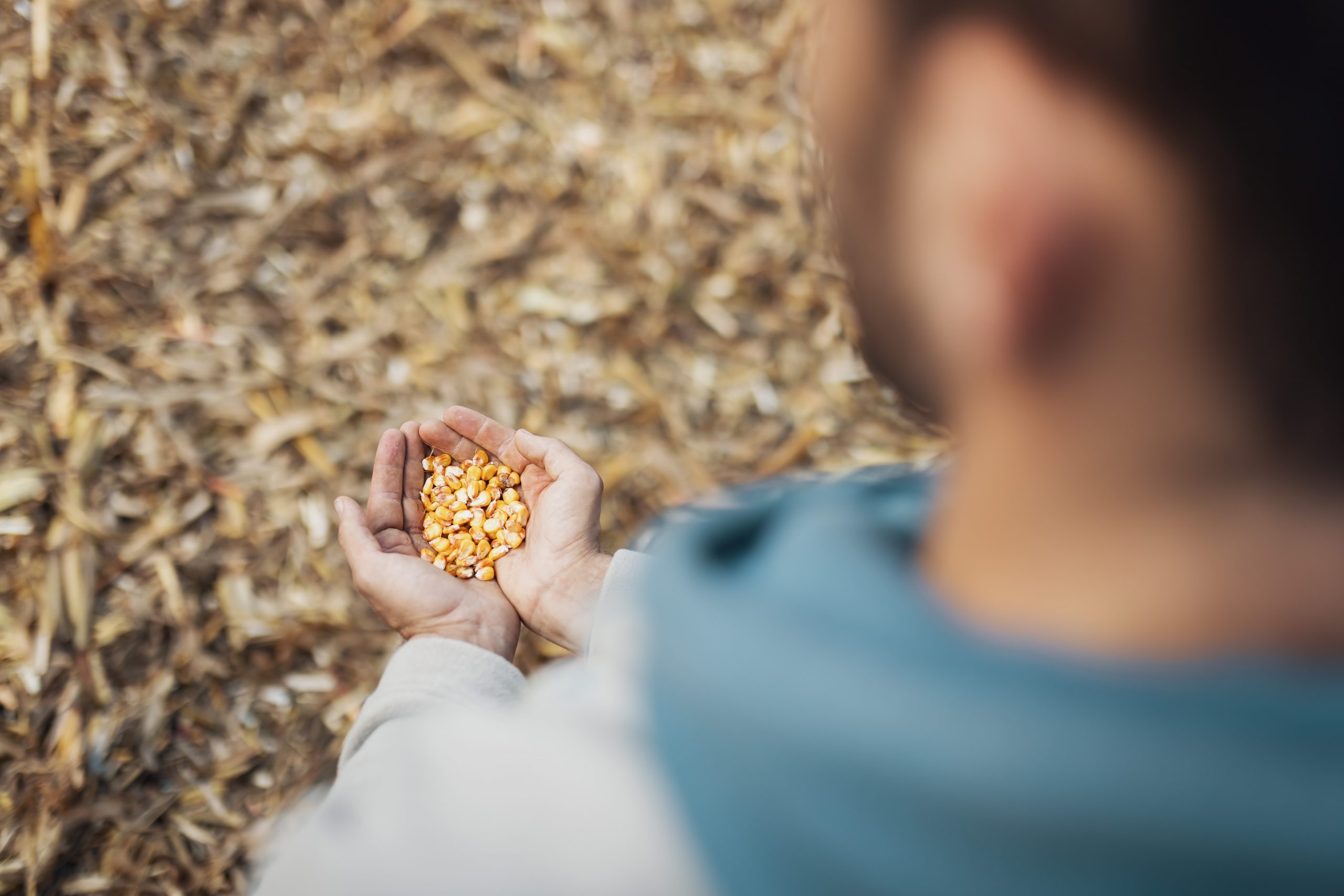 Evangelio 5 de octubre con comentario de Álvaro Sánchez Evangelio 5 de octubre con comentario de Álvaro Sánchez