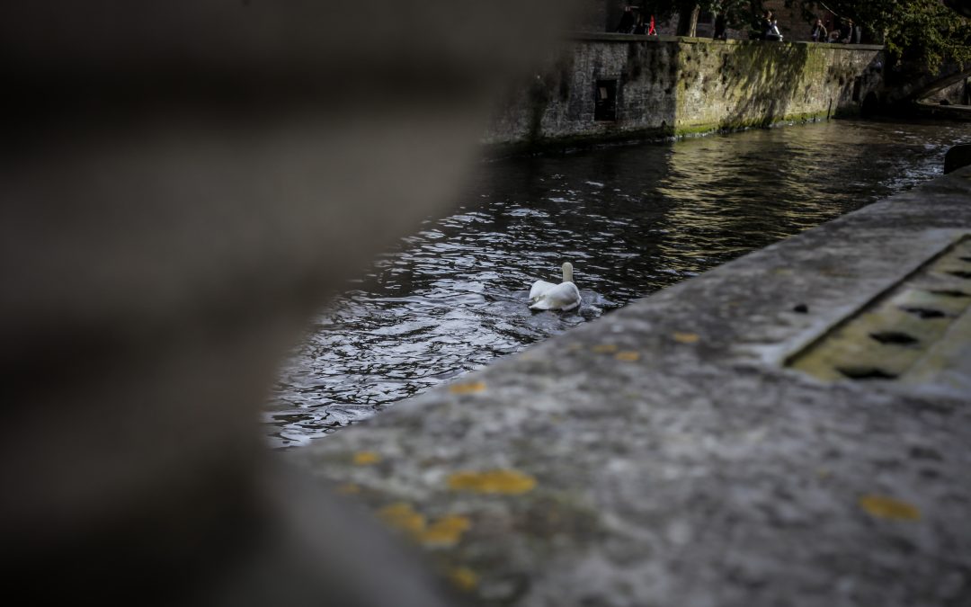 Evangelio 30 de noviembre con comentario de Renata Ryszkowska rscj 