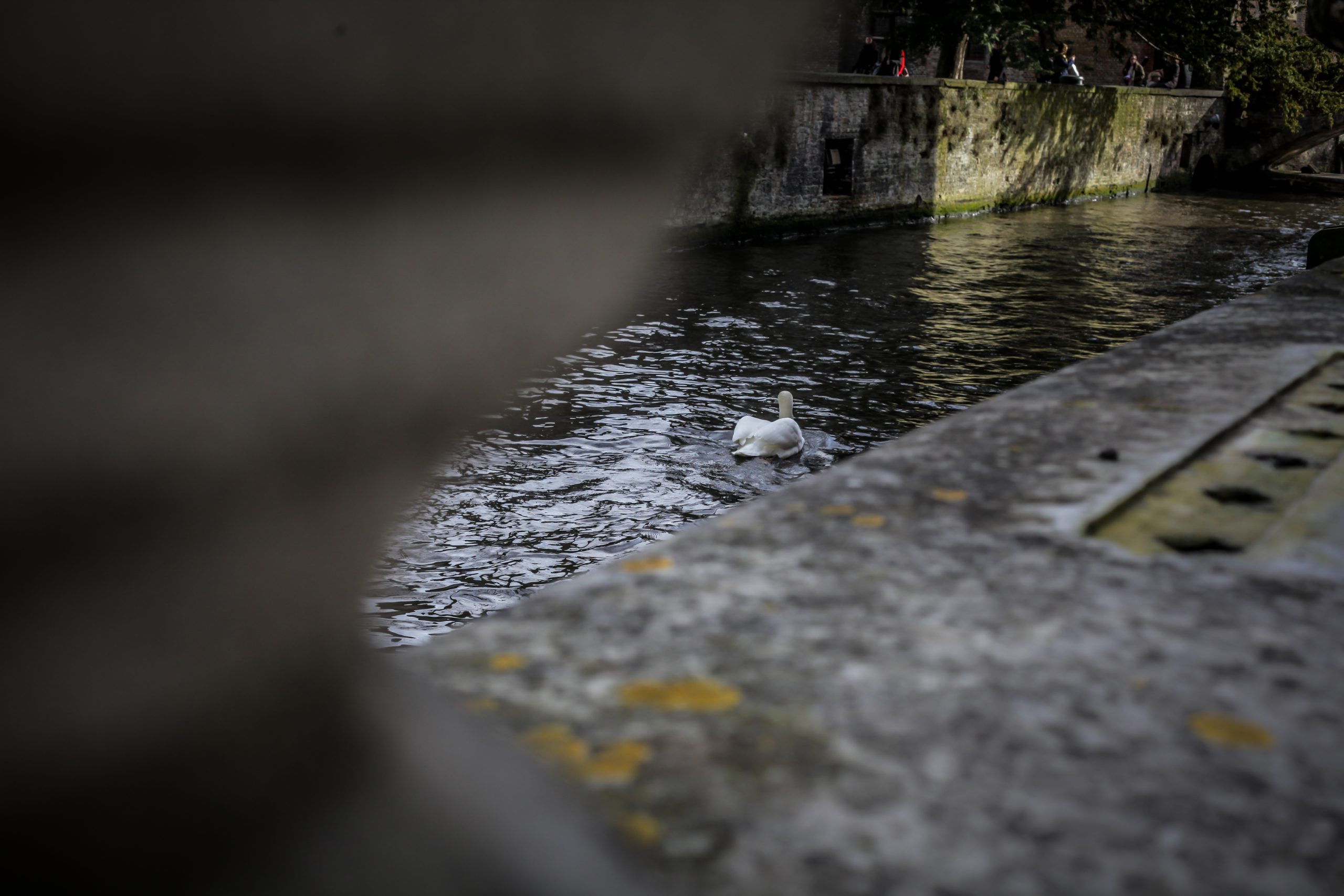 Evangelio 30 de noviembre con comentario de Renata Ryszkowska rscj 