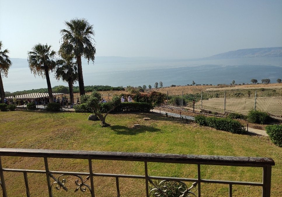 Evangelio 1 de febrero con comentario de Rosa Carbonell rscj