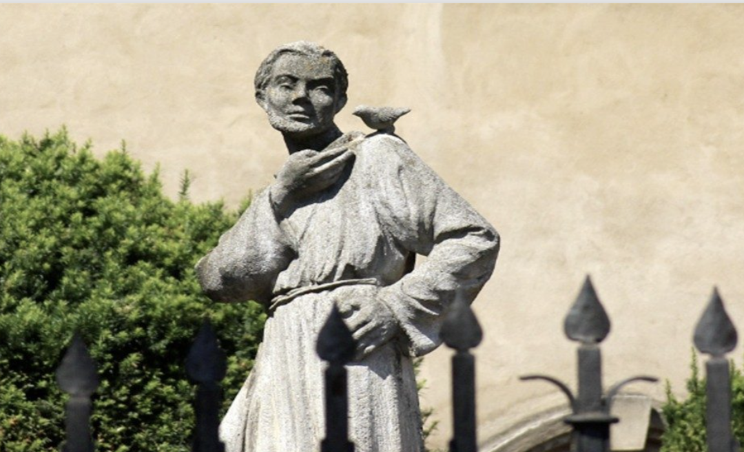 Año jubilar San Francisco de Asís