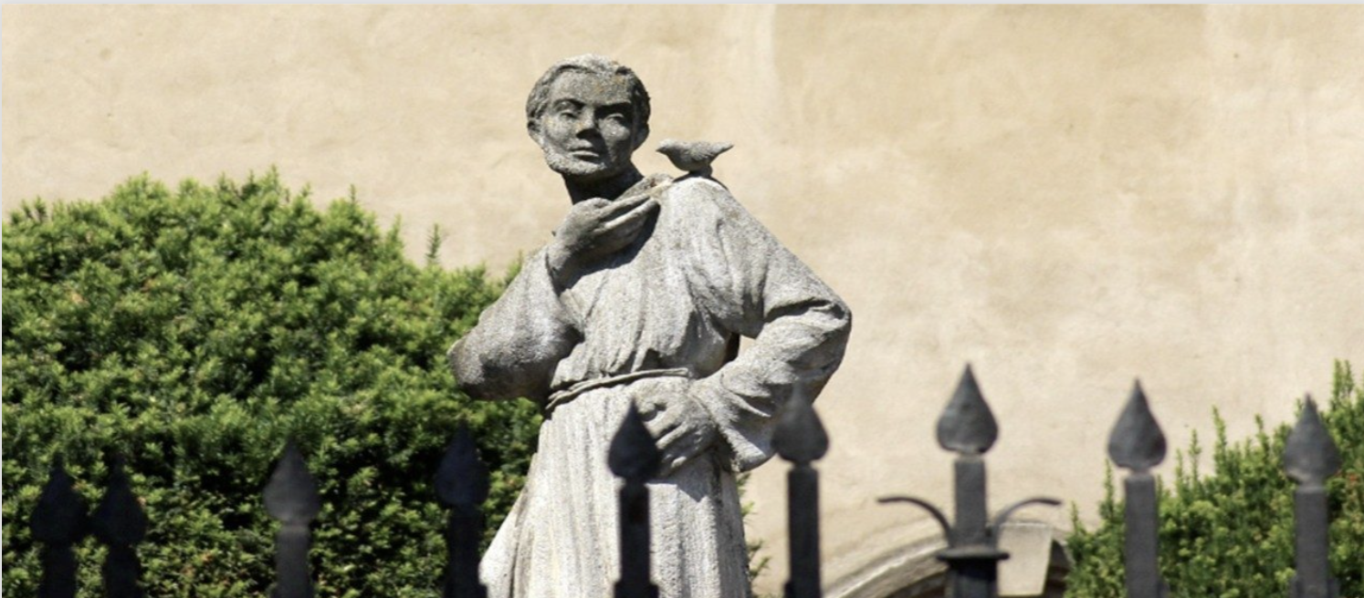 Año jubilar San Francisco de Asís