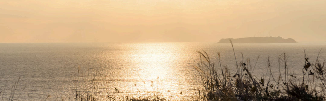 Miércoles de Ceniza por Mariola López Villanueva rscj