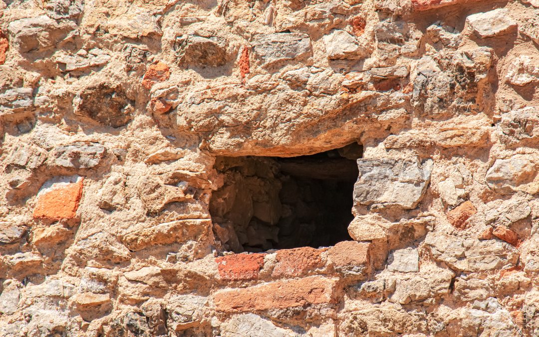 Evangelio 22 de marzo con comentario de Marta Ferré